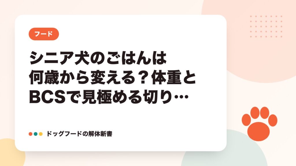 シニア犬のごはんは何歳から変える？体重とBCSで見極める切り替え時期