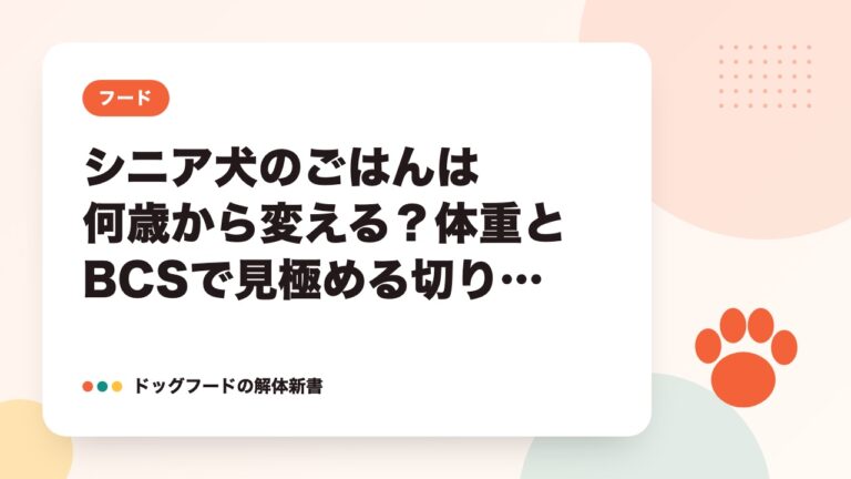 シニア犬のごはんは何歳から変える？体重とBCSで見極める切り替え時期