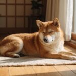 ココグルメの評判｜価格・1日量・保存方法を体重別に整理