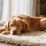 犬用ミルクおすすめ8選｜子犬・シニアの選び方と牛乳との違い
