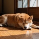 フレッシュドッグフードおすすめ5選｜冷凍・冷蔵の1日の費用と量を比較