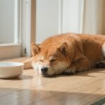 犬の水を飲む量 1日の目安｜体重別早見表と多飲かどうかの見分け方