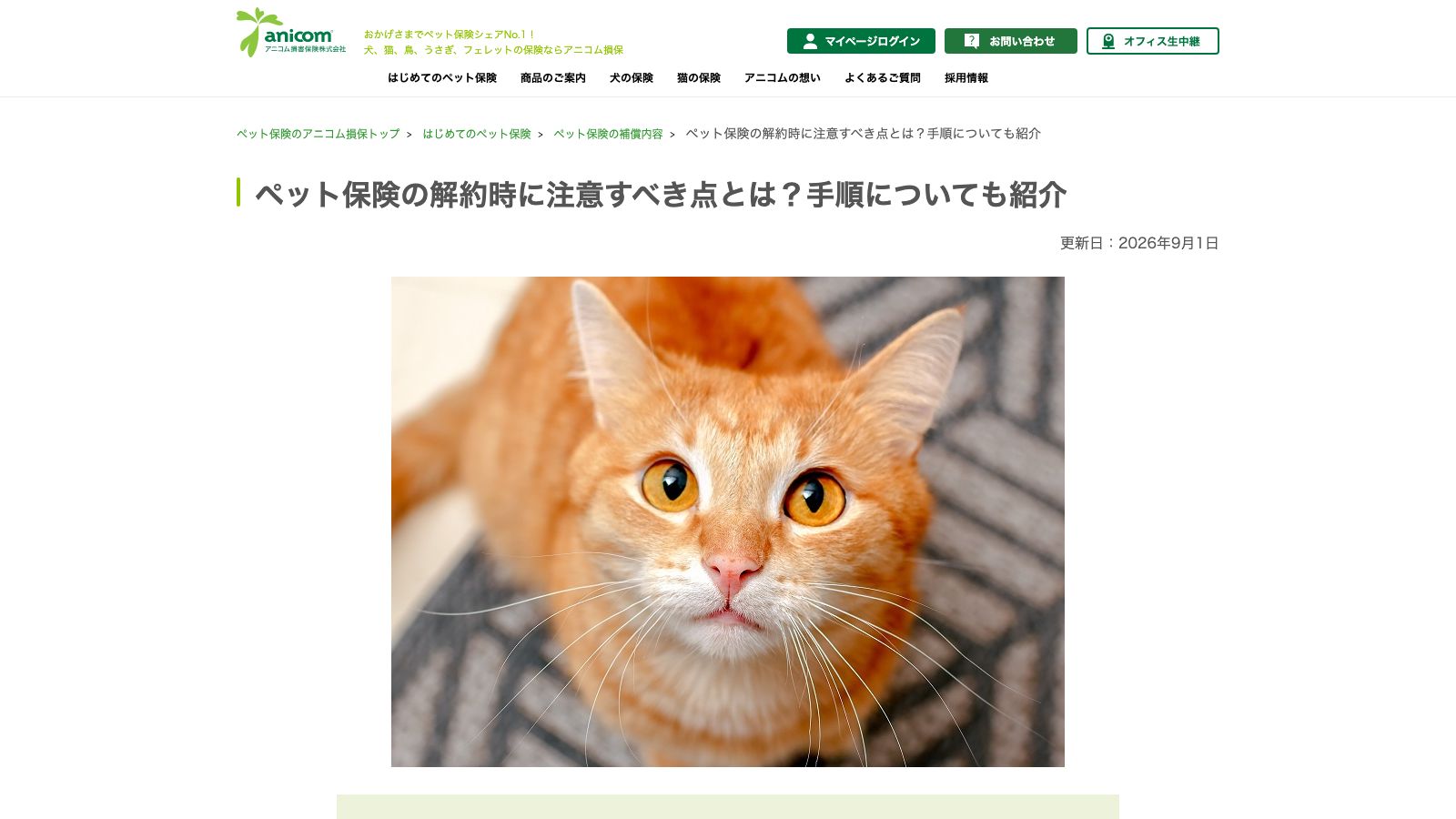 アニコム損害保険「ペット保険の解約時に注意すべき点とは?手順についても紹介」