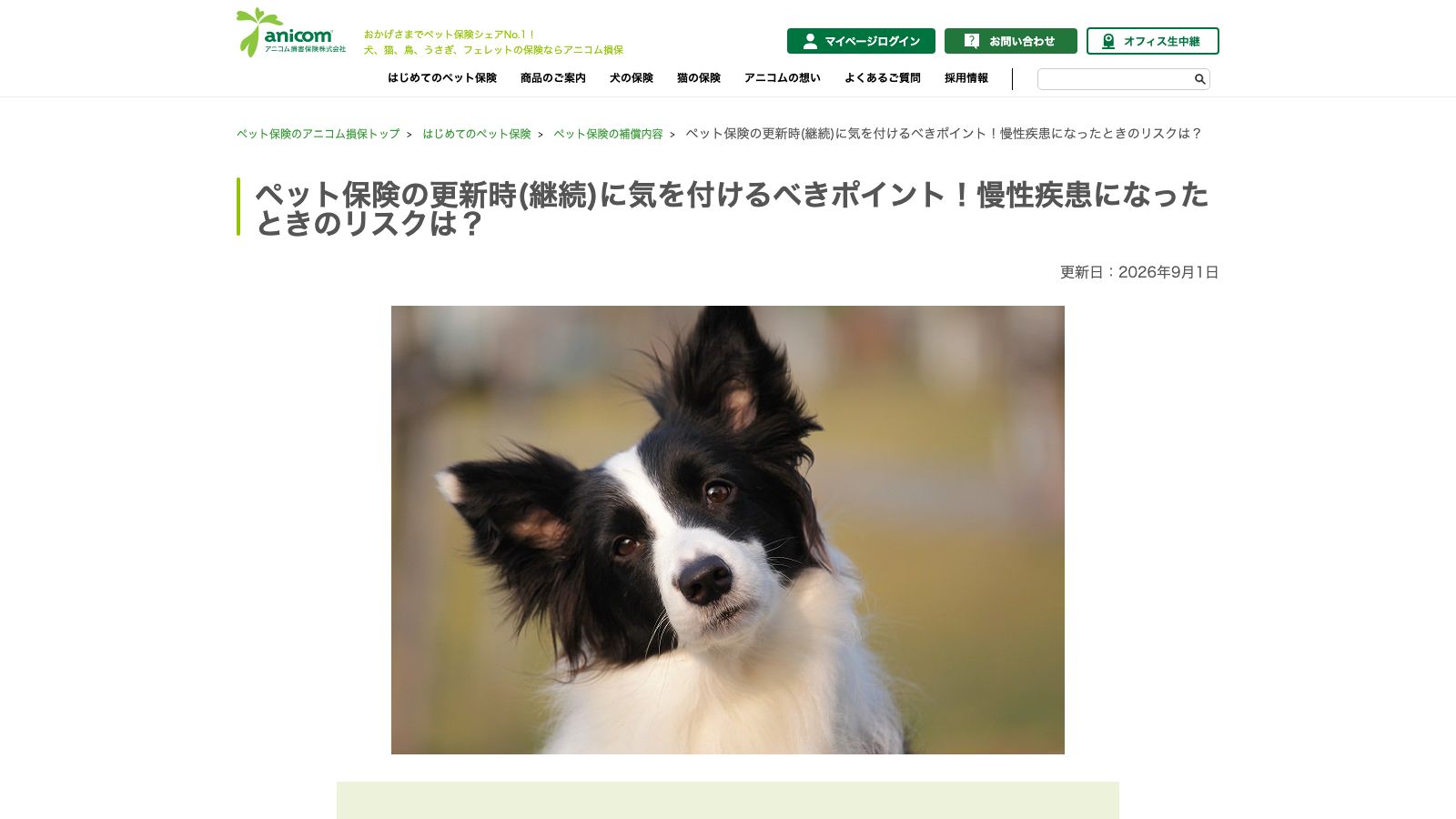 アニコム損害保険株式会社「ペット保険の更新時(継続)に気を付けるべきポイント！慢性疾患になったときのリスク」