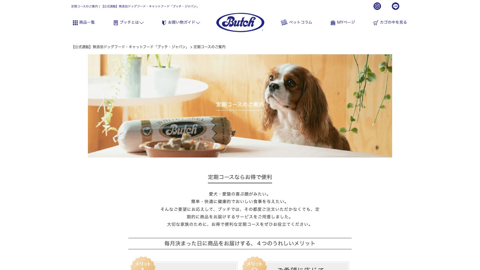 ブッチ・ジャパンの定期コース案内